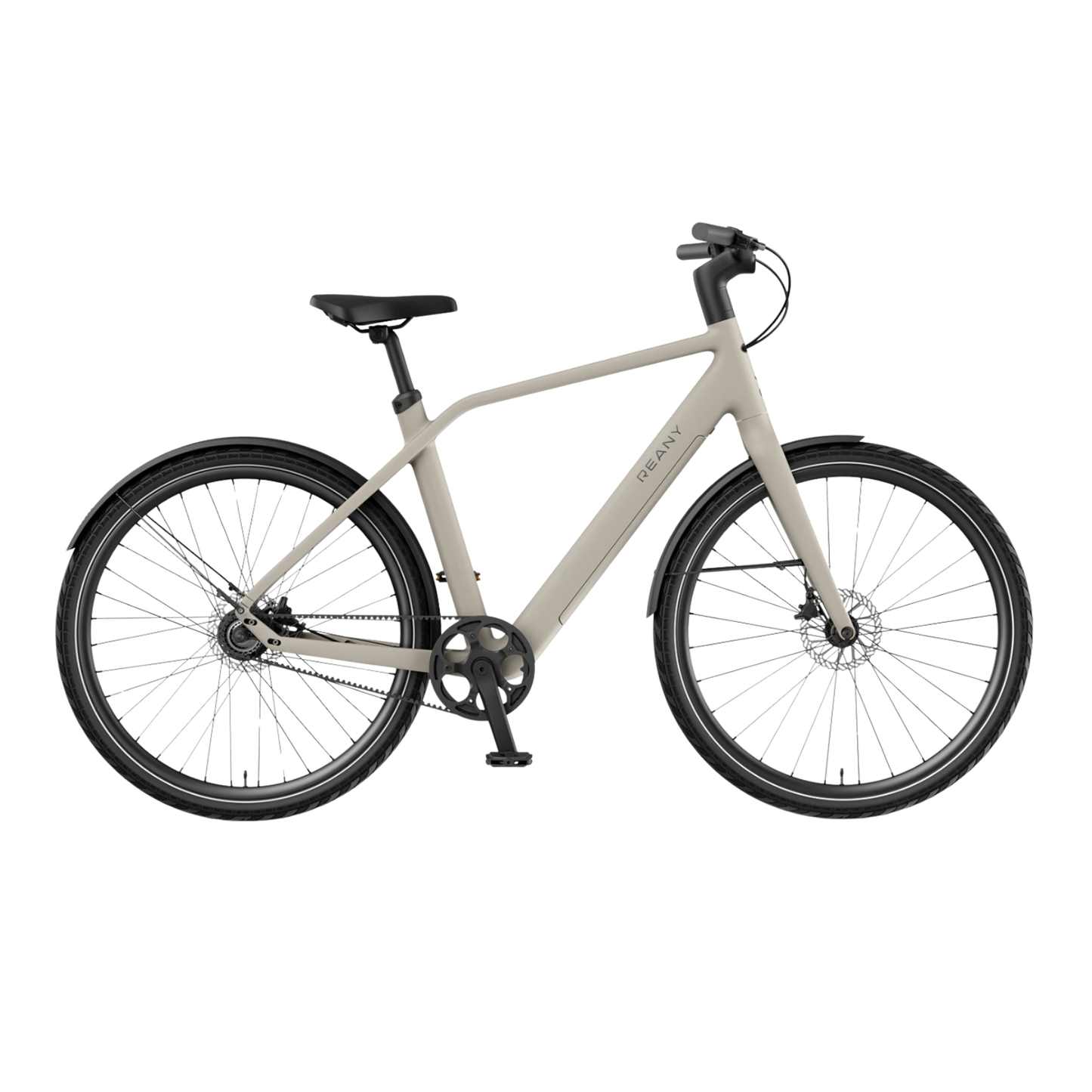 REANY Bike W1 en N1 Pro Carbon
