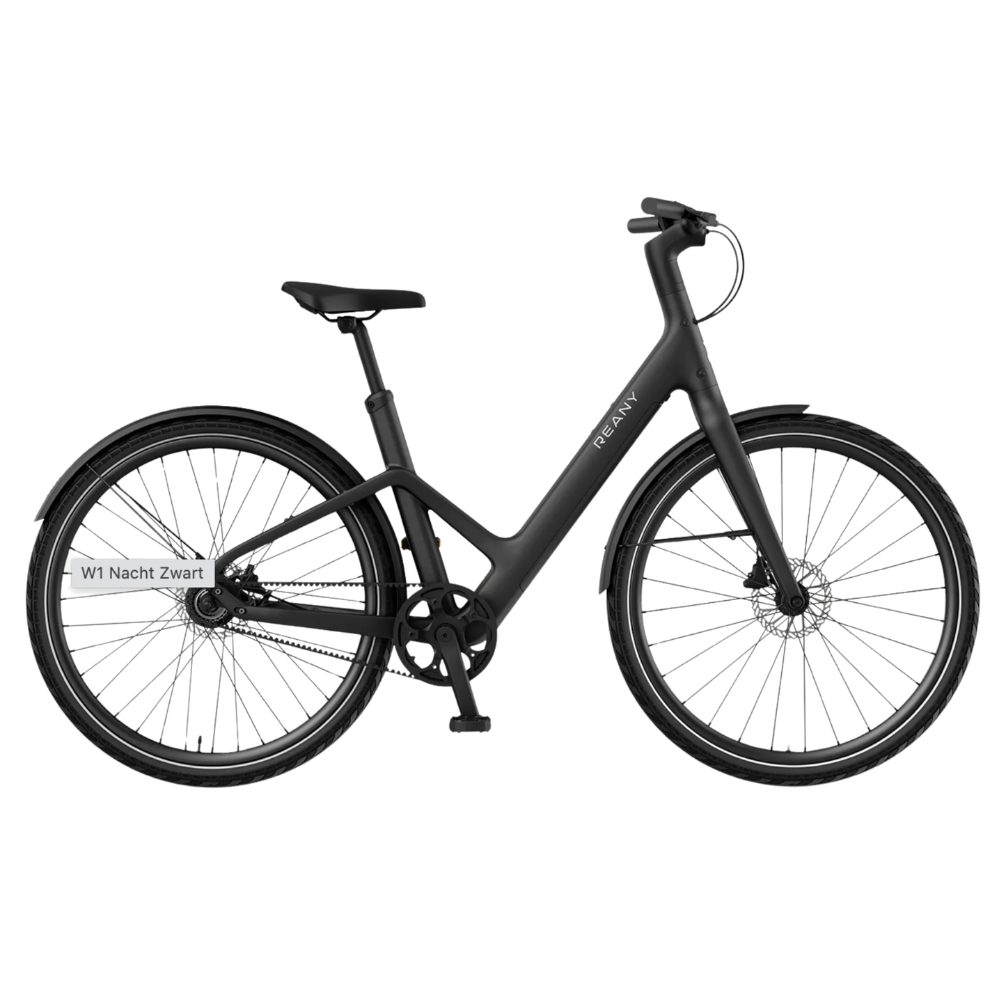REANY Bike W1