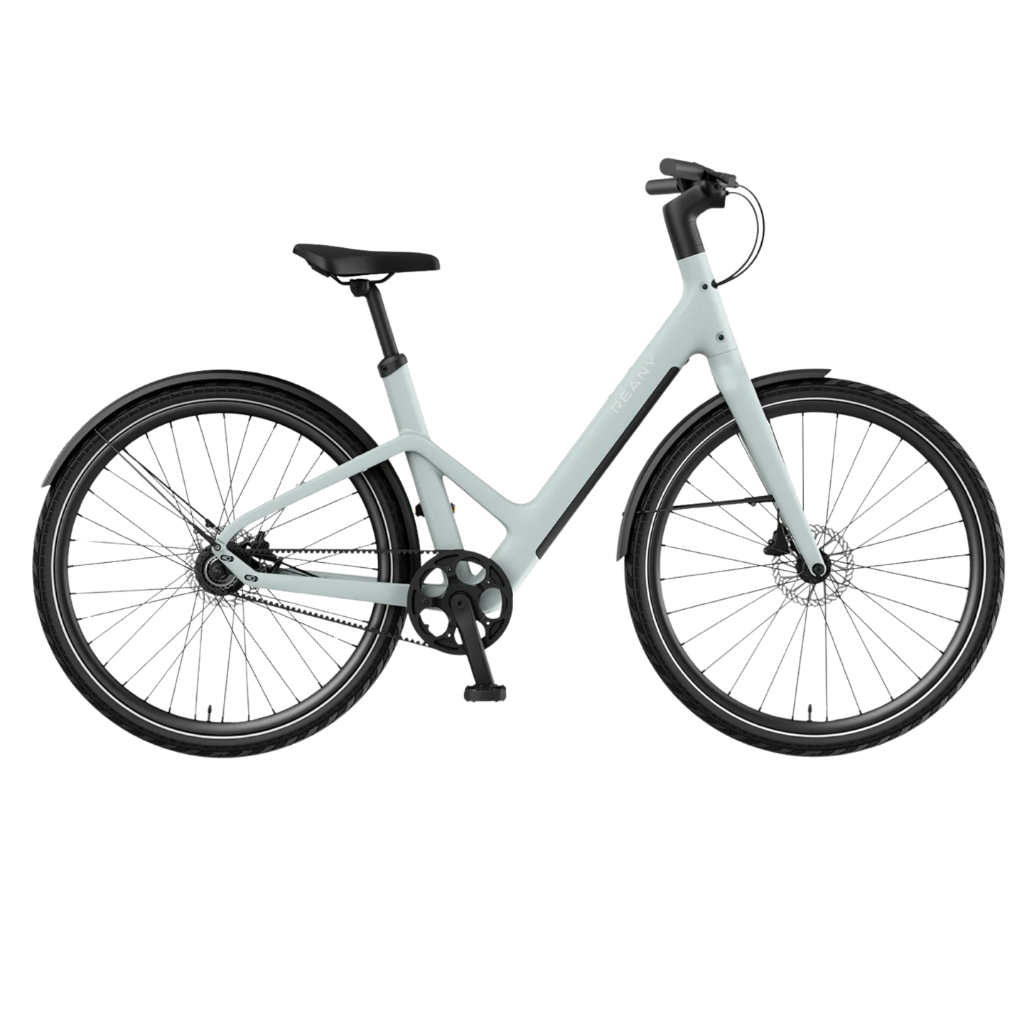 REANY Bike W1