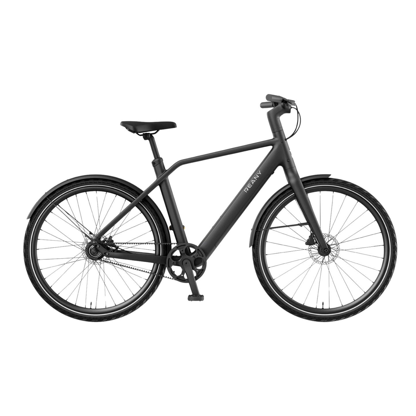REANY Bike N1