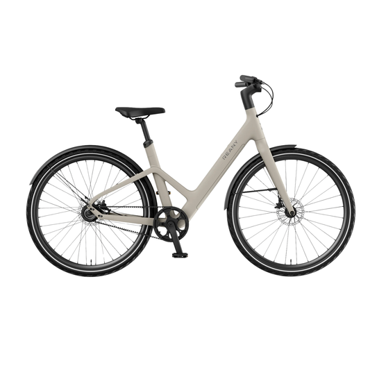 REANY Bike W1 en N1 Pro Carbon