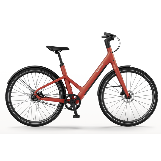 REANY Bike W1