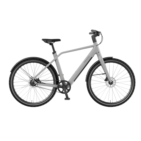 REANY Bike N1