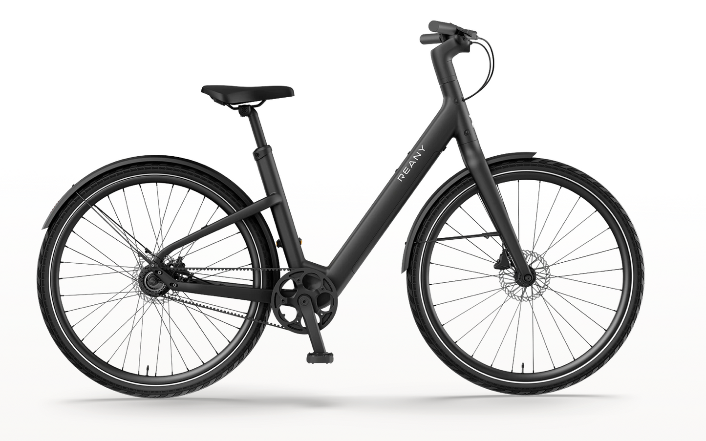 REANY Bike V1