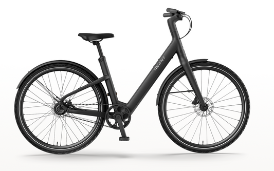 REANY Bike V1