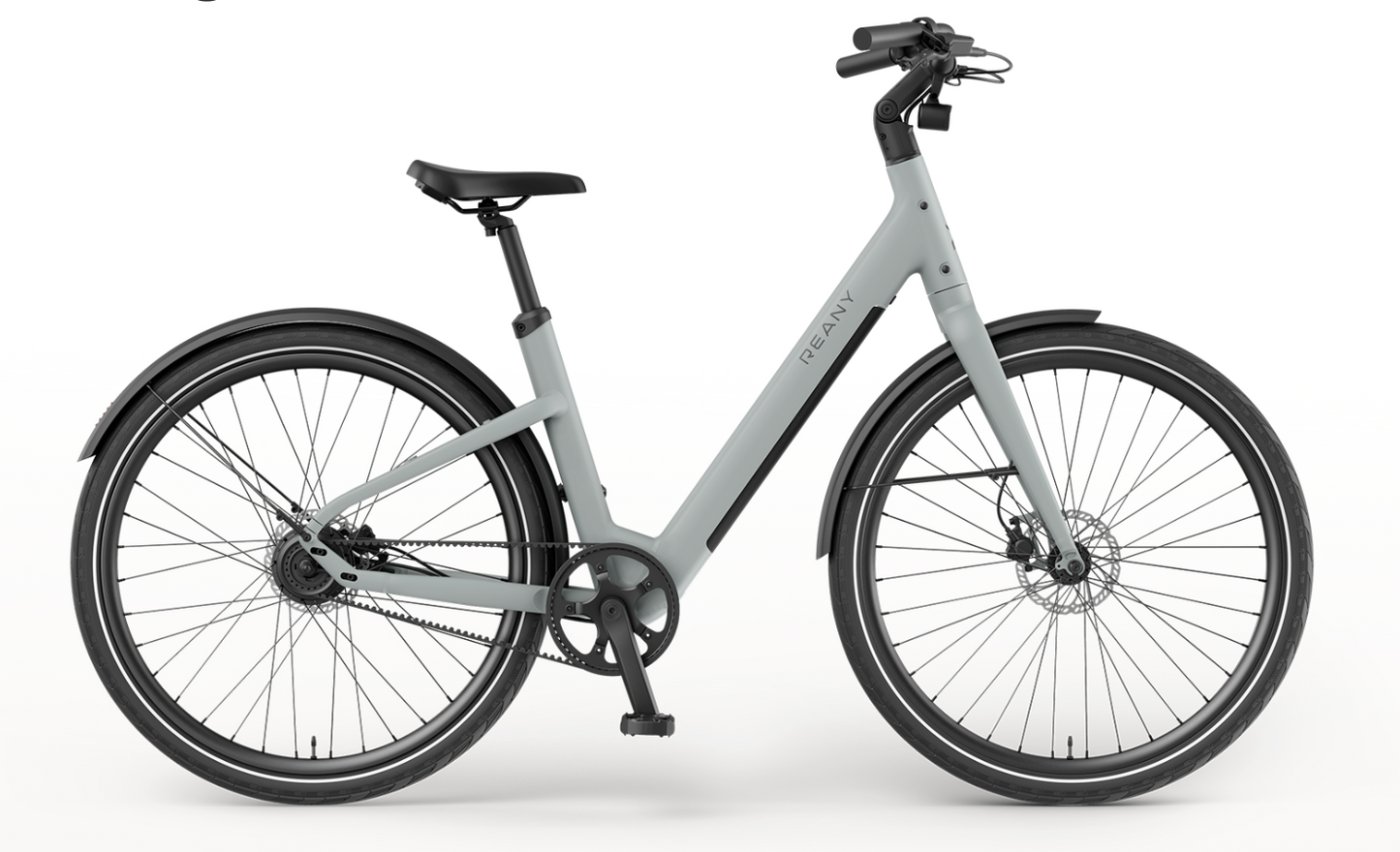 REANY Bike VIVO