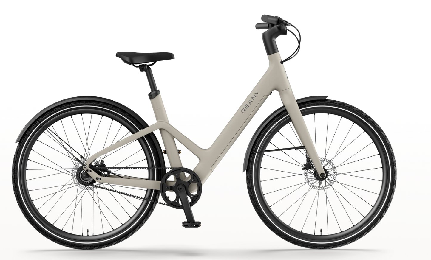 REANY Bike W1 Pro Carbon