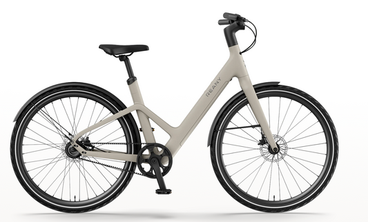 REANY Bike W1 Pro Carbon