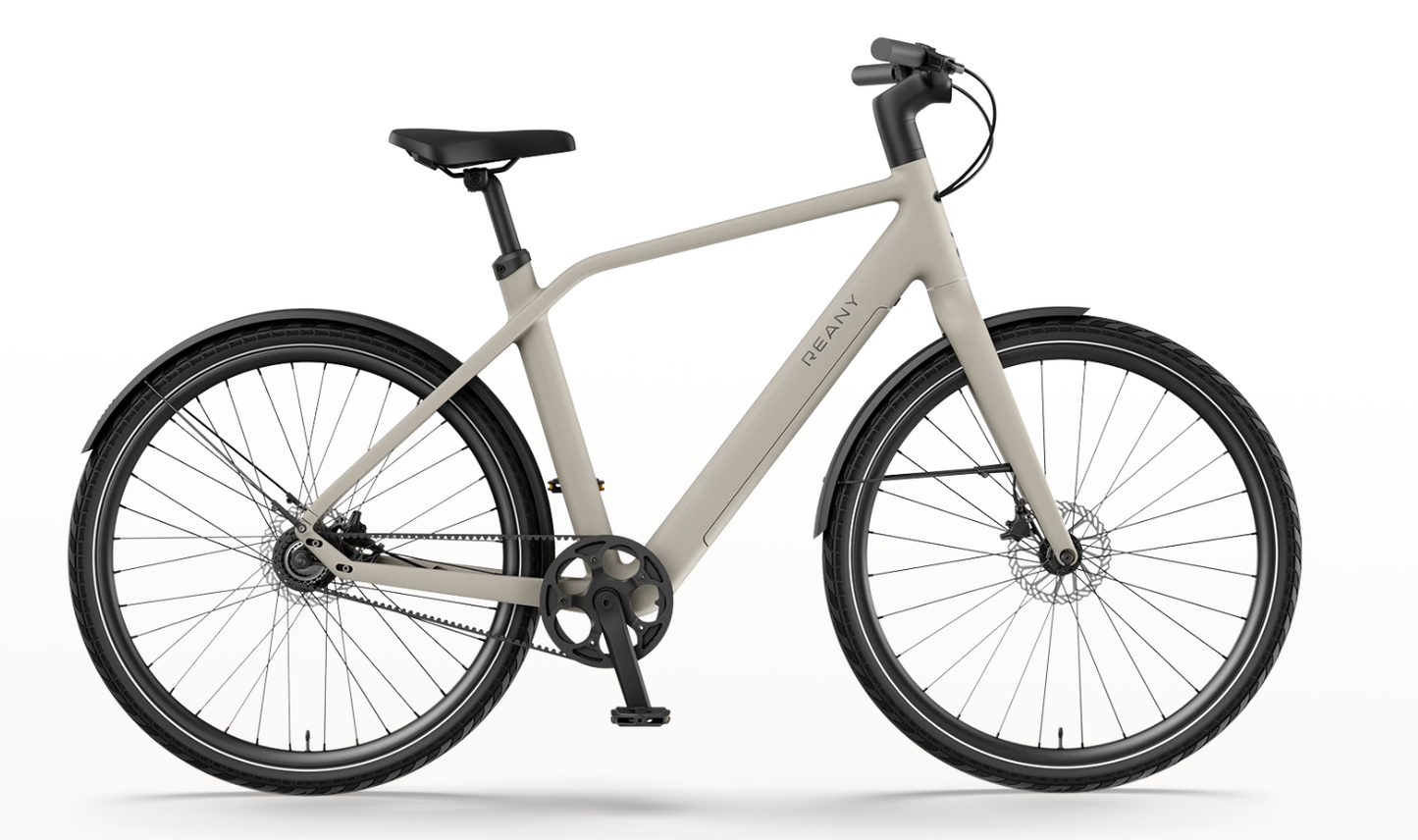 REANY Bike N1 Pro Carbon