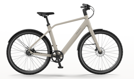 REANY Bike N1 Pro Carbon