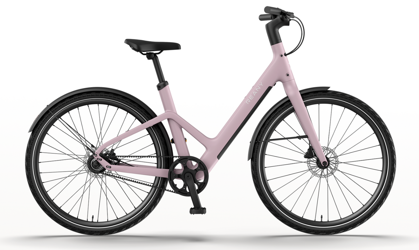 REANY Bike W1