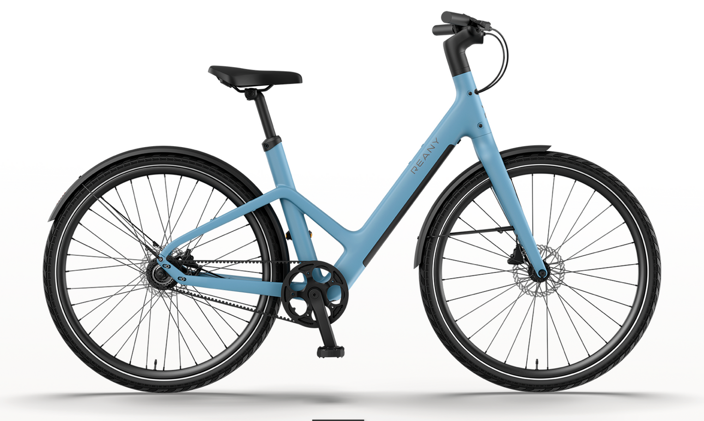 REANY Bike W1