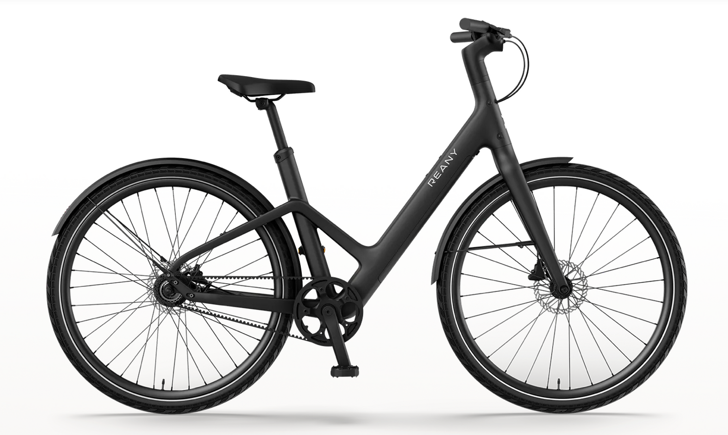 REANY Bike W1