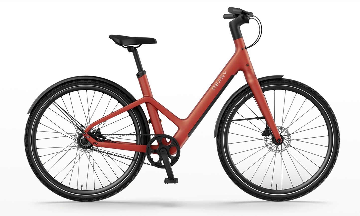 REANY Bike W1