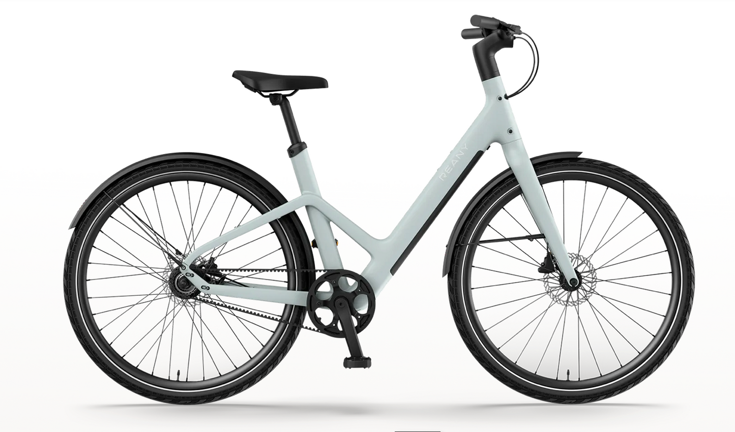 REANY Bike W1
