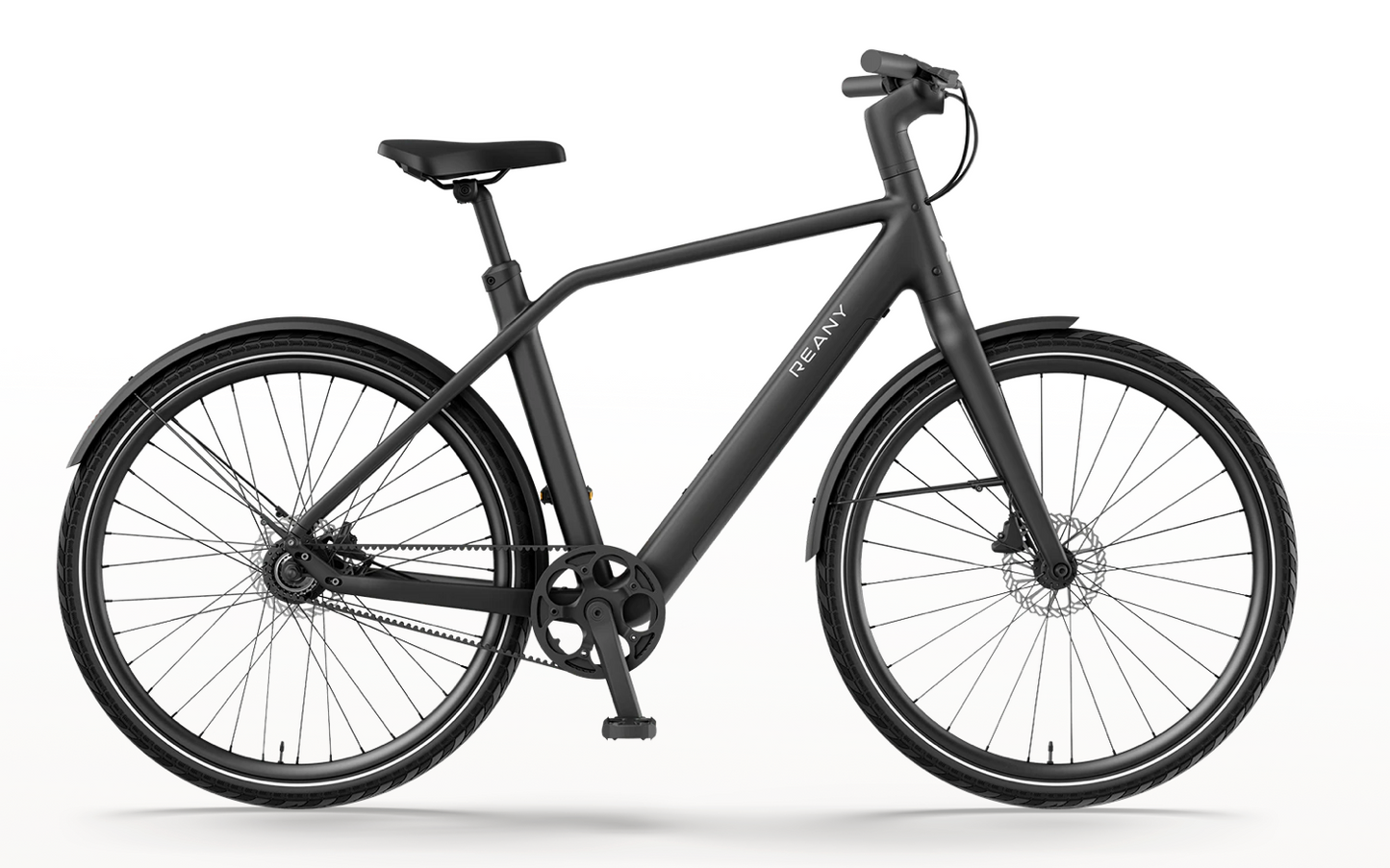 REANY Bike N1