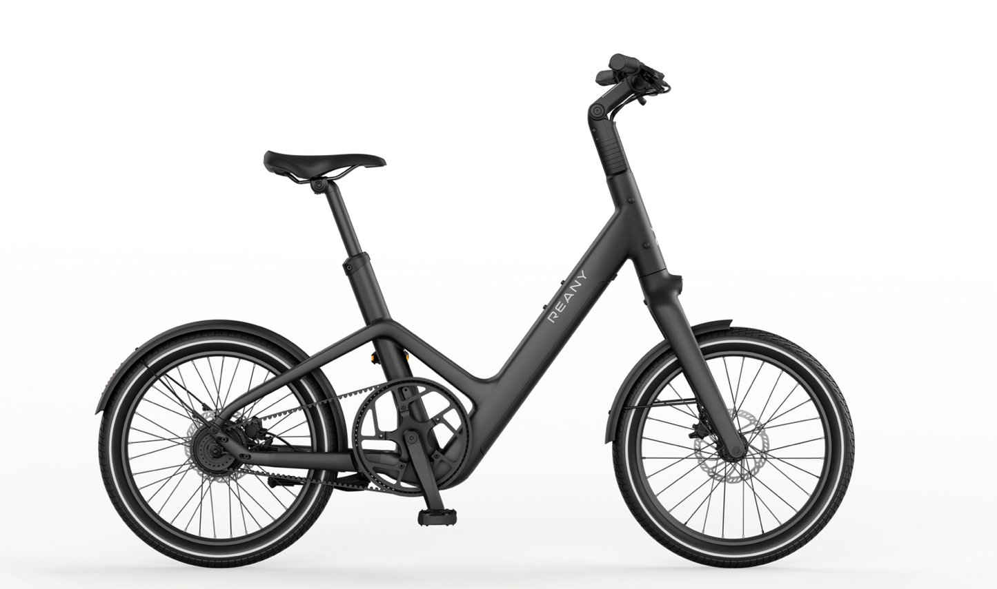 REANY Bike C1