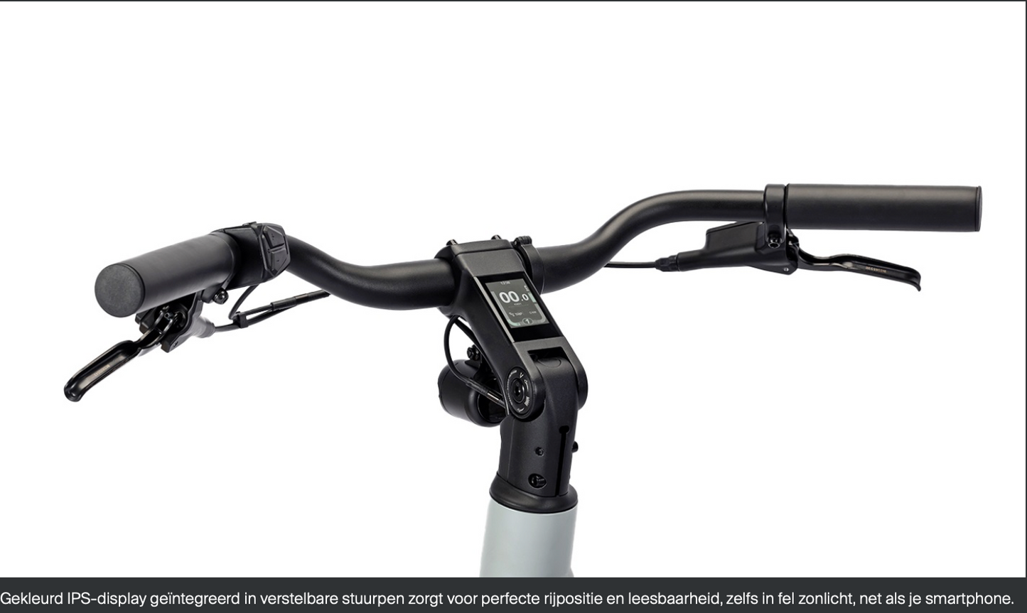 REANY Bike VIVO